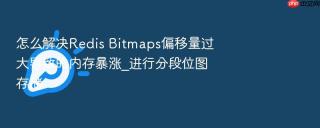 怎么解决redis bitmaps偏移量过大导致的内存暴涨_进行分段位图存储