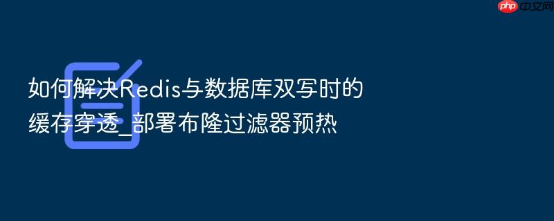 如何解决redis与数据库双写时的缓存穿透_部署布隆过滤器预热