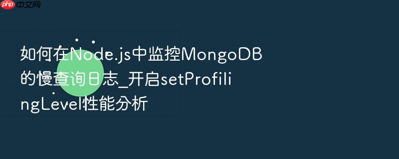 如何在node.js中监控mongodb的慢查询日志_开启setprofilinglevel性能分析