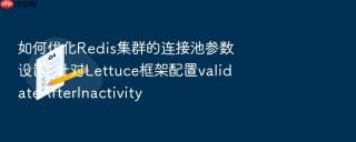 如何优化Redis集群的连接池参数设置_针对Lettuce框架配置validateAfterInactivity