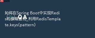 如何在spring boot中实现redis的模糊查询_利用redistemplate.keys(pattern)