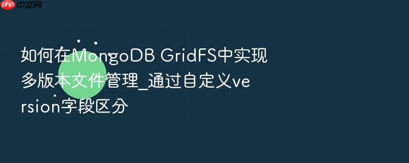 如何在mongodb gridfs中实现多版本文件管理_通过自定义version字段区分