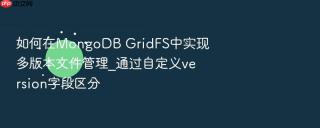 如何在mongodb gridfs中实现多版本文件管理_通过自定义version字段区分