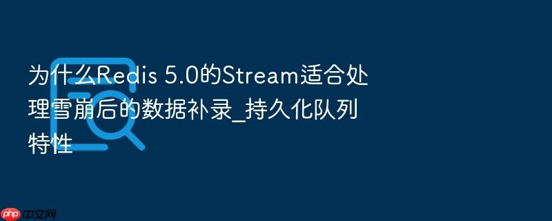 为什么redis 5.0的stream适合处理雪崩后的数据补录_持久化队列特性