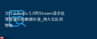 为什么redis 5.0的stream适合处理雪崩后的数据补录_持久化队列特性
