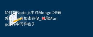 如何在node.js中对mongodb敏感数据进行加密存储_利用mongoose中间件钩子