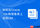 如何在Oracle 19c物理备库上启用DML重定向功能