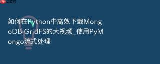 如何在python中高效下载mongodb gridfs的大视频_使用pymongo流式处理