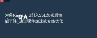 为何Redis 6.0引入SSL加密后性能下降_通过硬件加速或专线优化