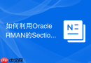 如何利用Oracle RMAN的Section Size提高大文件备份速度