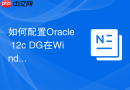 如何配置Oracle 12c DG在Windows平台下的服务自动启动