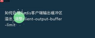 如何处理redis客户端输出缓冲区溢出_调整client-output-buffer-limit