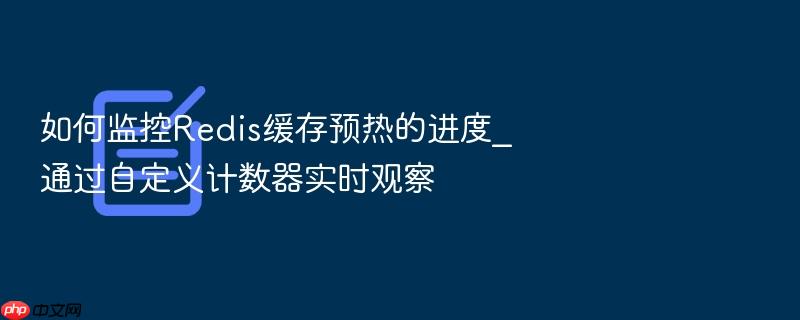 如何监控redis缓存预热的进度_通过自定义计数器实时观察