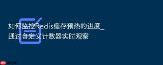 如何监控redis缓存预热的进度_通过自定义计数器实时观察