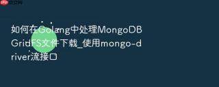 如何在golang中处理mongodb gridfs文件下载_使用mongo-driver流接口