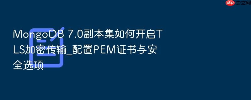 mongodb 7.0副本集如何开启tls加密传输_配置pem证书与安全选项