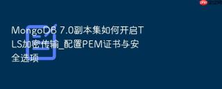 mongodb 7.0副本集如何开启tls加密传输_配置pem证书与安全选项