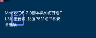 MongoDB 7.0副本集如何开启TLS加密传输_配置PEM证书与安全选项