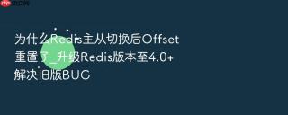 为什么redis主从切换后offset重置了_升级redis版本至4.0+解决旧版bug