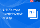 如何在Oracle 12c中安全地收缩带有LOB字段的分区表空间