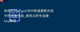 如何在mongodb中快速更新文档中的嵌套字段_使用点符号连接key路径