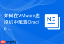 如何在VMware虚拟机中配置Oracle RAC共享存储环境？