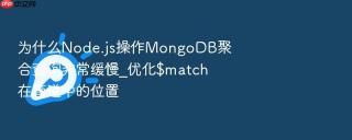 为什么node.js操作mongodb聚合查询非常缓慢_优化$match在管道中的位置