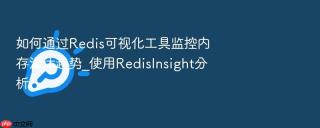 如何通过redis可视化工具监控内存淘汰趋势_使用redisinsight分析