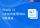 Oracle 12c中如何使用RMAN恢复被删除的临时表空间？