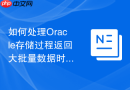 如何处理Oracle存储过程返回大批量数据时的内存分配策略？