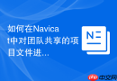 如何在Navicat中对团队共享的项目文件进行加密保护？