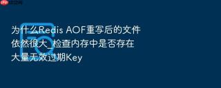 为什么Redis AOF重写后的文件依然很大_检查内存中是否存在大量无效过期Key