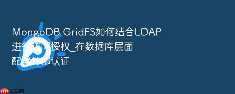 mongodb gridfs如何结合ldap进行访问授权_在数据库层面配置外部认证