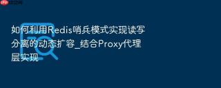 如何利用redis哨兵模式实现读写分离的动态扩容_结合proxy代理层实现