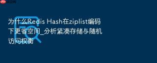 为什么redis hash在ziplist编码下更省空间_分析紧凑存储与随机访问权衡