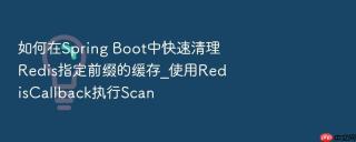 如何在spring boot中快速清理redis指定前缀的缓存_使用rediscallback执行scan