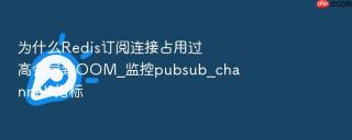 为什么Redis订阅连接占用过高会导致OOM_监控pubsub_channels指标