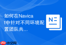 如何在Navicat中针对不同环境配置团队共享的变量设置？