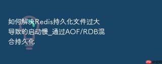 如何解决redis持久化文件过大导致的启动慢_通过aof/rdb混合持久化