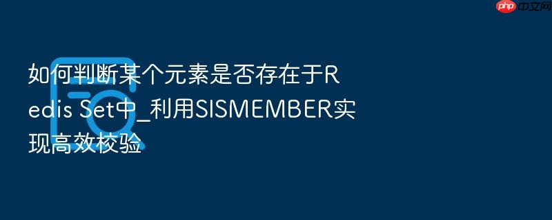 如何判断某个元素是否存在于redis set中_利用sismember实现高效校验
