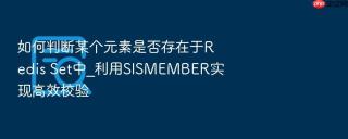 如何判断某个元素是否存在于redis set中_利用sismember实现高效校验