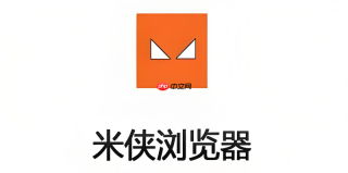 米侠浏览器如何解决百度云盘网页版限制下载的问题？