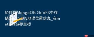 如何在MongoDB GridFS中存储GeoJSON地理位置信息_在metadata存坐标