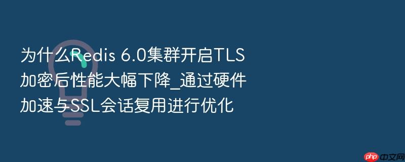 为什么redis 6.0集群开启tls加密后性能大幅下降_通过硬件加速与ssl会话复用进行优化