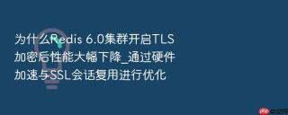 为什么redis 6.0集群开启tls加密后性能大幅下降_通过硬件加速与ssl会话复用进行优化
