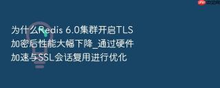 为什么Redis 6.0集群开启TLS加密后性能大幅下降_通过硬件加速与SSL会话复用进行优化