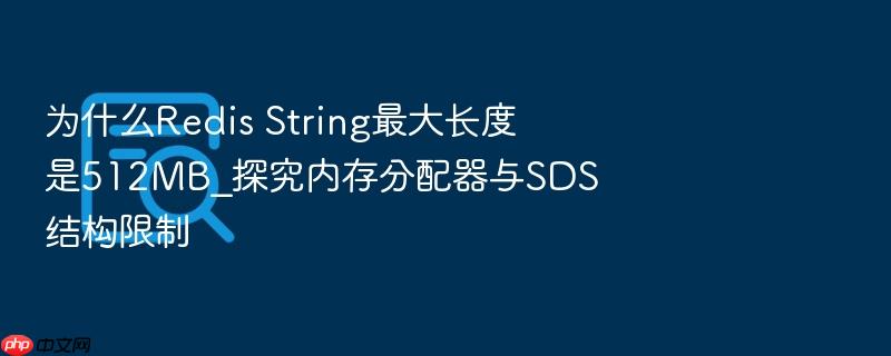 为什么redis string最大长度是512mb_探究内存分配器与sds结构限制