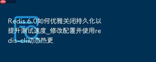 redis 6.0如何优雅关闭持久化以提升测试速度_修改配置并使用redis-cli动态热更