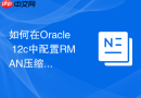 如何在Oracle 12c中配置RMAN压缩算法以节省存储空间