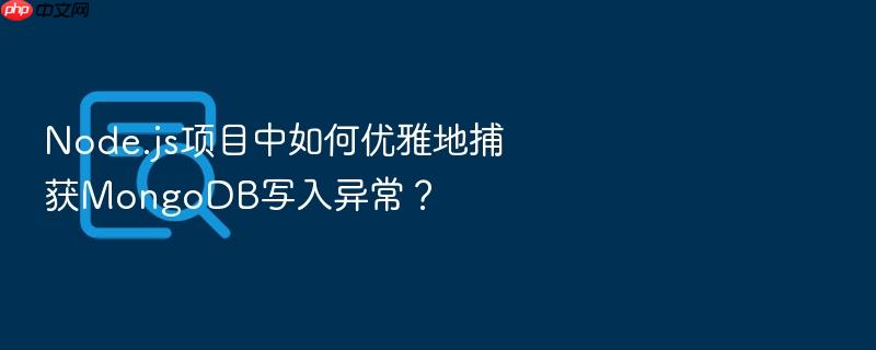 node.js项目中如何优雅地捕获mongodb写入异常?